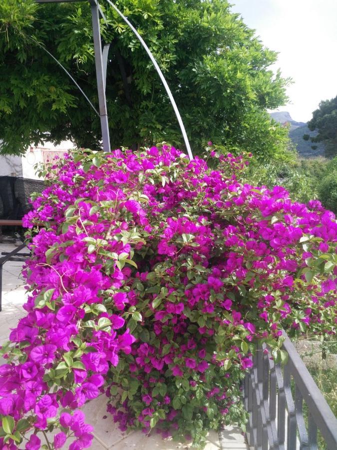 تْشيفالو Incantevole Villa Con Vista Mozzafiato المظهر الخارجي الصورة